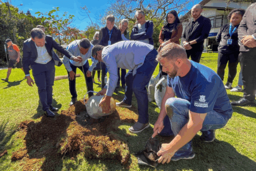 Moradores de Balneário Camboriú podem sugerir locais para o plantio de árvores nativas