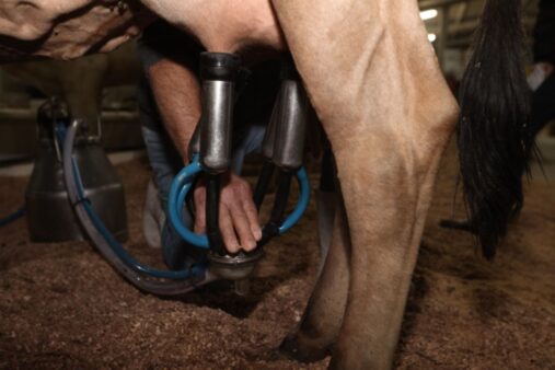 Alesc analisa novos programas para segurança, agro e aviação regional em SC