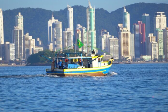 Arrasto de Camarão reúne 47 embarcações na Barra, em Balneário Camboriú