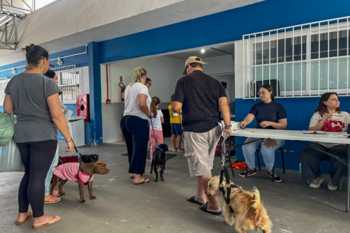 Castra Pet fará 84 castrações gratuitas no Bairro da Barra nesta quinta-feira
