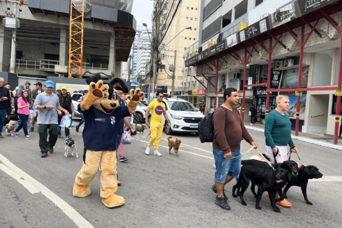 16ª Cãominhada arrecada ração e cobertores neste sábado em Balneário Camboriú