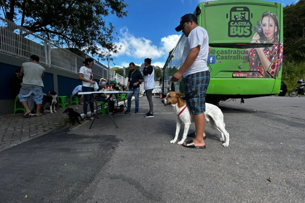 BC lança chamamento para 5 mil castrações grátis de pets