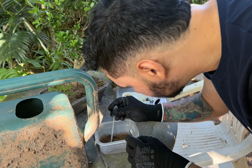 Vigilância Ambiental de BC identifica foco de dengue