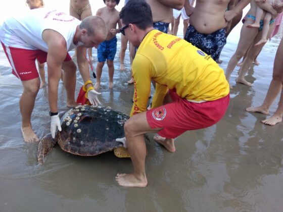 Notícias de Santa Catarina - SC HOJE