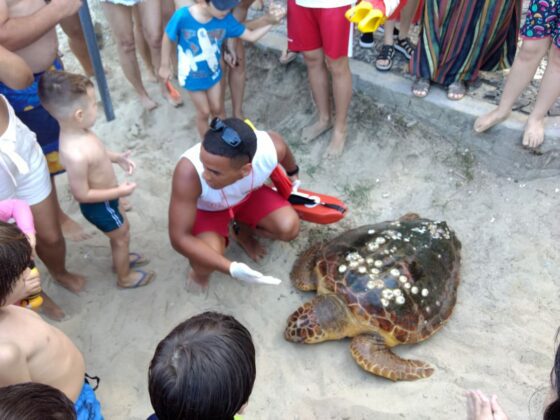 Notícias de Santa Catarina - SC HOJE