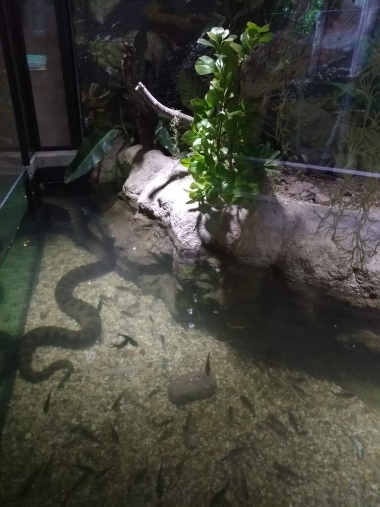 Notícias de Santa Catarina - SC HOJE