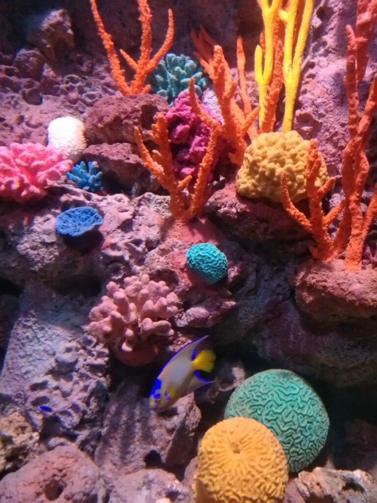 Notícias de Santa Catarina - SC HOJE