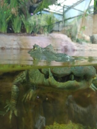 Notícias de Santa Catarina - SC HOJE