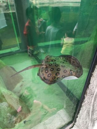 Notícias de Santa Catarina - SC HOJE