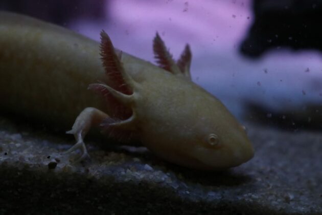 Notícias de Santa Catarina - SC HOJE