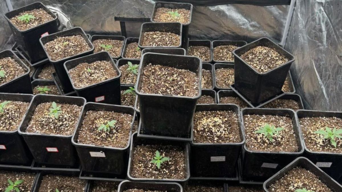 Foto Divulgação / 12 BPM