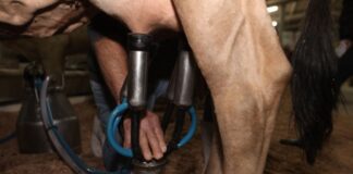 Alesc analisa novos programas para segurança, agro e aviação regional em SC