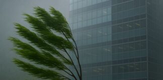 Rajadas de vento devem atingir Balneário Camboriú entre quarta e quinta-feira