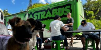 Balneário Camboriú encerra mutirão de castrações gratuitas entre 19 e 22 de dezembro