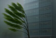 Rajadas de vento devem atingir Balneário Camboriú entre quarta e quinta-feira Rajadas de vento devem atingir Balneário Camboriú entre quarta e quinta-feira