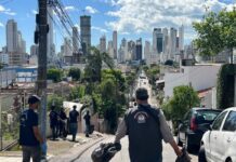 Balneário Camboriú reforça ações e reduz casos de dengue em 2025 Balneário Camboriú reforça ações e reduz casos de dengue em 2025